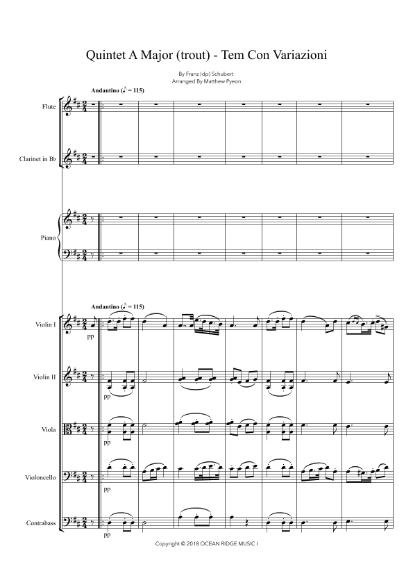 Quintet A Major (trout) - Tem Con Variazioni (arr. Matthew pyeon)