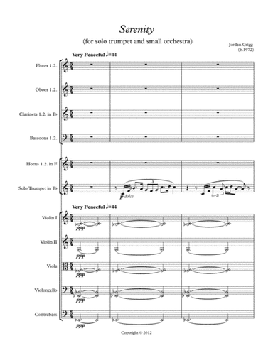 Serenity (for solo trumpet and small orchestra)