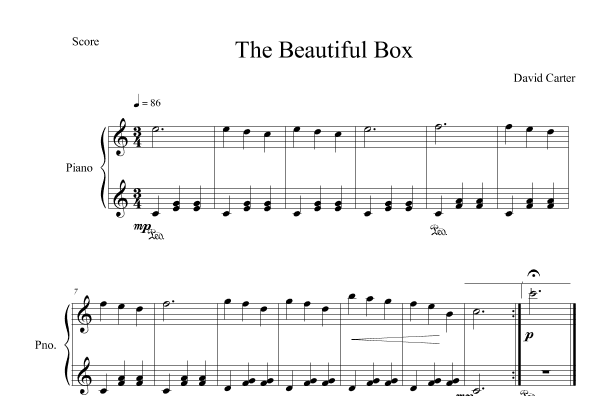The Beautiful Box
