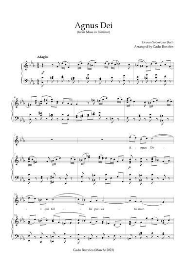 Agnus Dei - Mass B Minor BACH - C minor (arr. Cadu Barcelos)