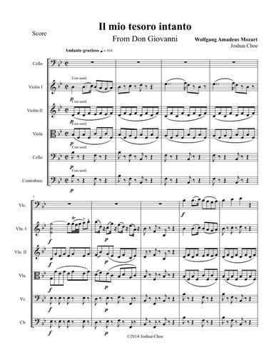 "Il mio tesoro intanto" from Don Giovanni (arr. Joshua Choe)