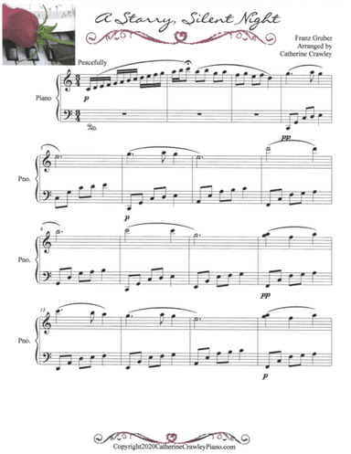 A Starry, Silent Night (arr. Catherine Crawley)