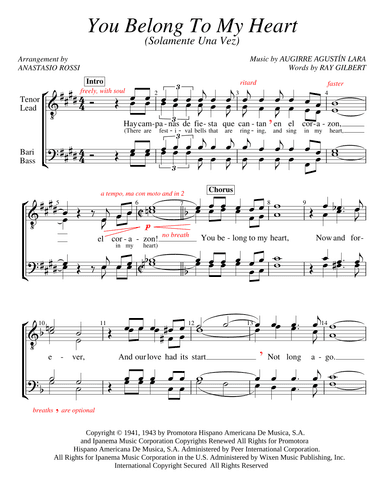 You Belong To My Heart (solamente Una Vez) (arr. Anastasio Rossi)