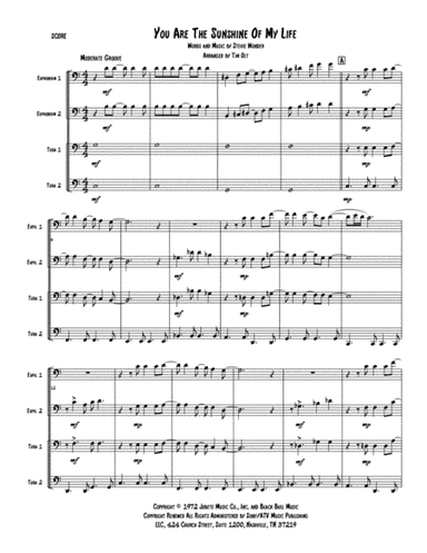 You Are The Sunshine Of My Life (arr. Tim Olt)