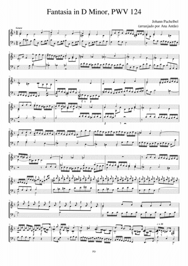 J. Pachelbel - Fantasia in D Minor (arr. Ana Antão)