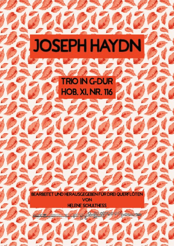 Joseph Haydn Trio in G major Hob. XI, No 116 (arr. Helene Schulthess)