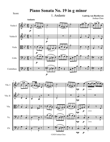 Piano Sonata No. 19, Movement 1 (arr. Joshua Choe)