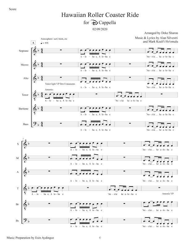 Hawaiian Roller Coaster Ride (arr. Deke Sharon)