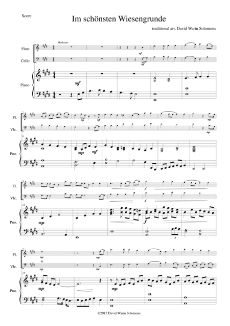 Im schönsten Wiesengrunde for flute, cello and piano (arr. David Warin Solomons)