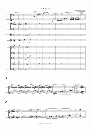 Tracoline, Op.6, for 2 Piccolos and Orchestra (arr.), Score and Parts (arr. Alexander Gagarinov)