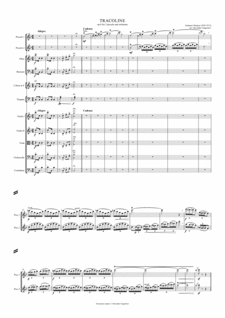 Tracoline, Op.6, for 2 Piccolos and Orchestra (arr.), Score and Parts (arr. Alexander Gagarinov)