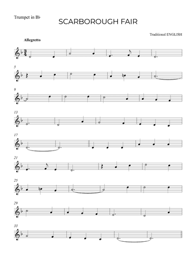 SCARBOROUGH FAIR (arr. Alex Nunes Rodrigues)