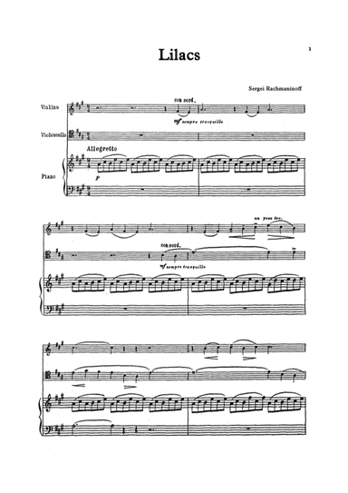 Lilacs (arr. Unknown)