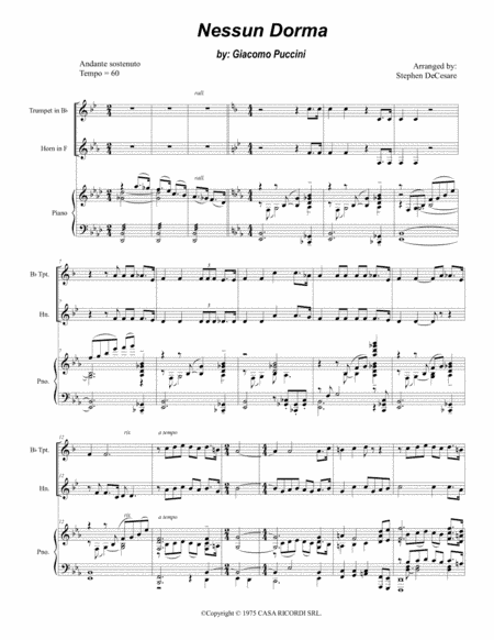 Nessun Dorma (arr. Stephen DeCesare)