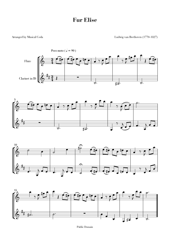 Fur Elise - Flute & Clarinet (arr. Musical Coda)