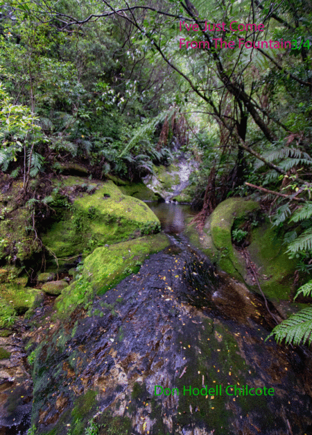 I've Just Come From The Fountain 44 (arr. Don Hodell Chilcote)