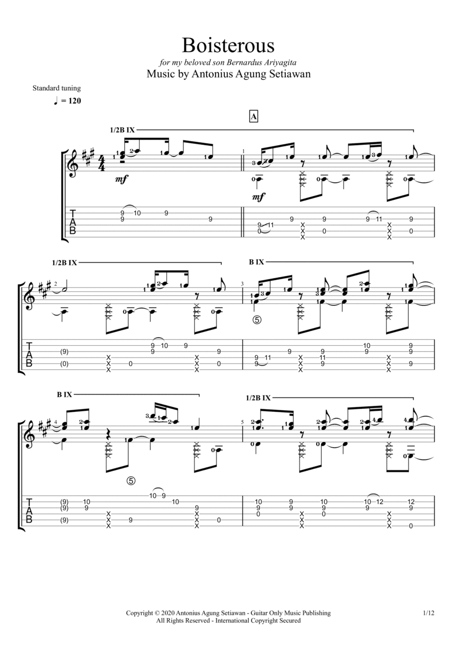 Boisterous (Solo Guitar Tablature)