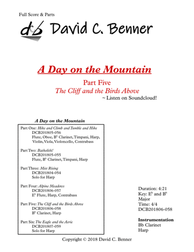 A Day on the Mountain - Part 5: The Cliff and the Birds Above