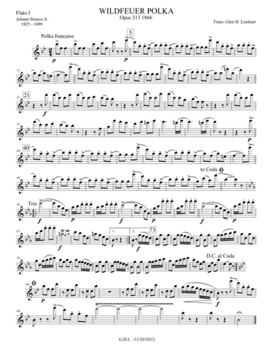 Wildfeuer Polka (arr. Glen D. Lienhart)