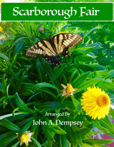 Scarborough Fair (Trio for Flute, Violin and Piano) (arr. John A. Dempsey)