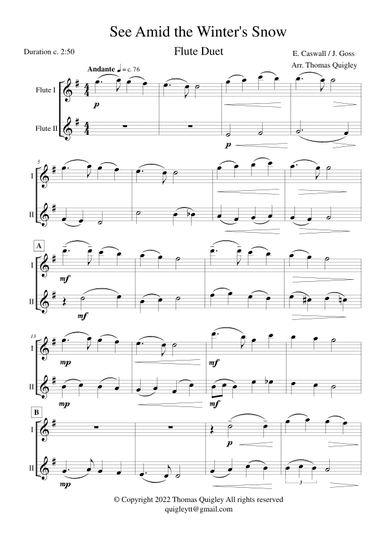 See Amid The Winter's Snow (arr. Thomas Quigley)