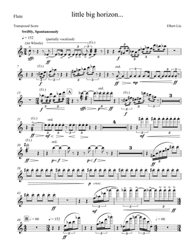 little big horizon for Mixed Chamber Ensemble - Instrumental Parts