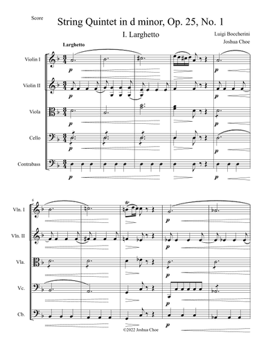 String Quintet in d minor, Op. 25, No. 1, Movement 1 (arr. Joshua Choe)
