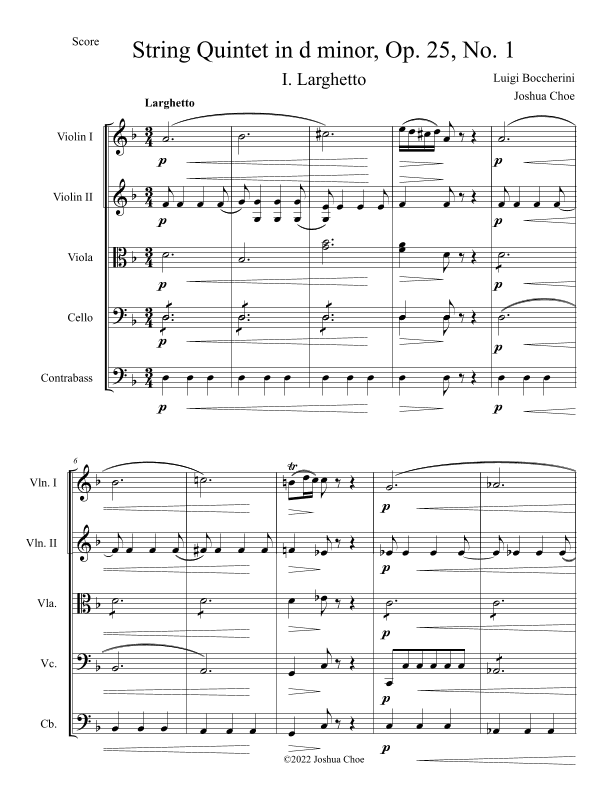 String Quintet in d minor, Op. 25, No. 1, Movement 1 (arr. Joshua Choe)