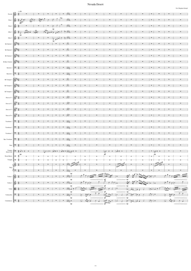 Nevada Desert