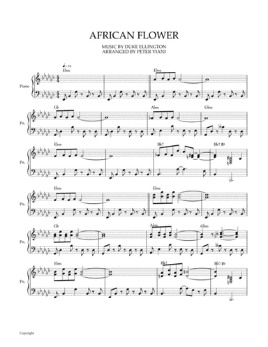 African Flower (petite Fleur Africaine) (arr. Peter Viani)