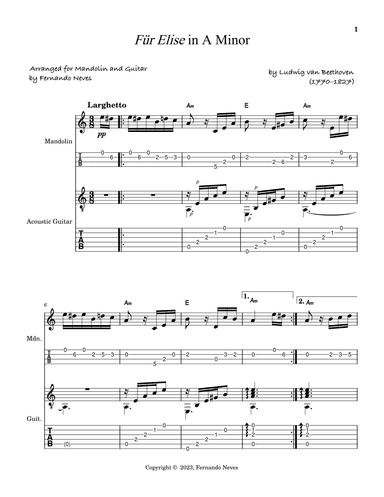 Für Elise for Mandolin and Acoustic Guitar (arr. FERNANDO LUIZ NEVES)