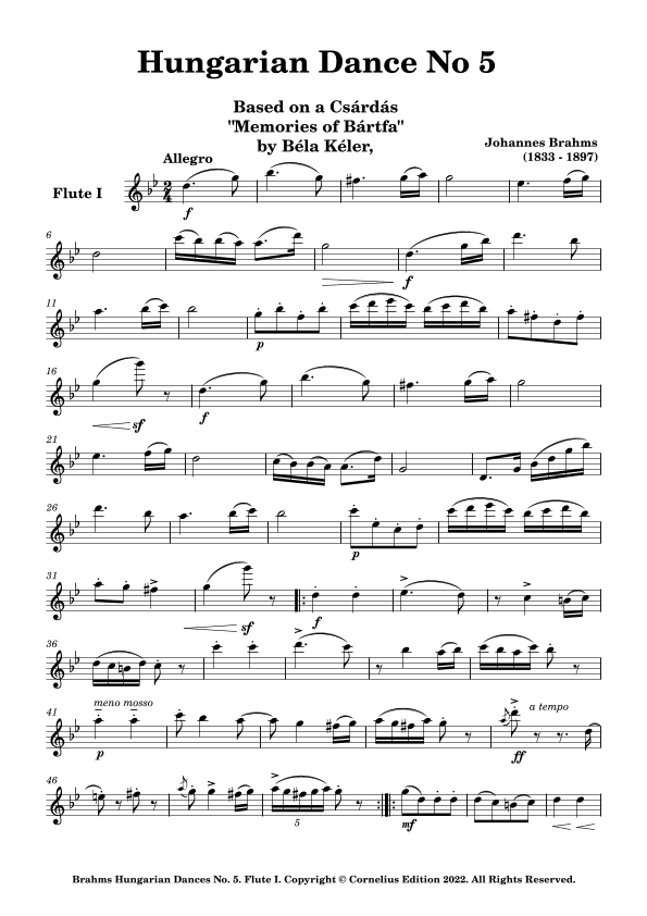 Brahms Hungarian Dance No. 5 Flute Duet (arr. Glenn Martin)