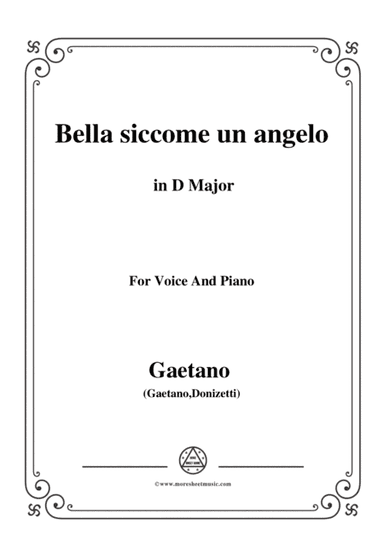Donizetti-Bella siccome un angelo in D Major, for Voice and Piano (arr. MSM)