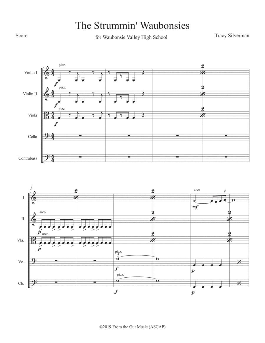 The Strummin' Waubonsies - String Orchestra