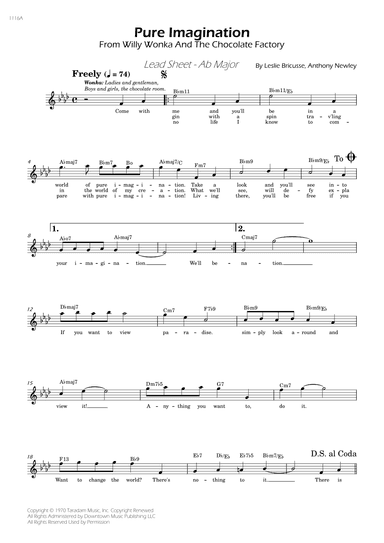 Pure Imagination (arr. César Madeira)