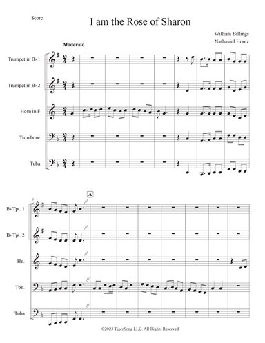 I am the Rose of Sharon (arr. Nathaniel Hontz)