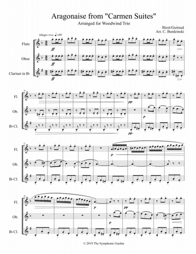 Aragonaise from Carmen - woodwind trio (flute, oboe, clarinet) (arr. C. Burdzinski)