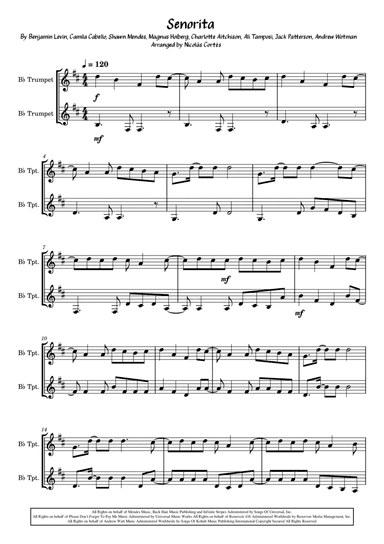 Senorita (arr. Nicolás Cortés Castillo)