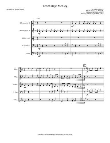 Beach Boys Medley
