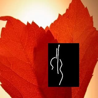 Thanksgiving Day - Score Only