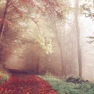 Cowboy Like Me (arr. Genevieve Andrews)