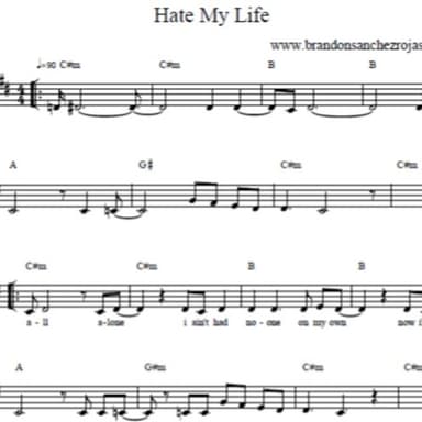 Hate My Life - Violin