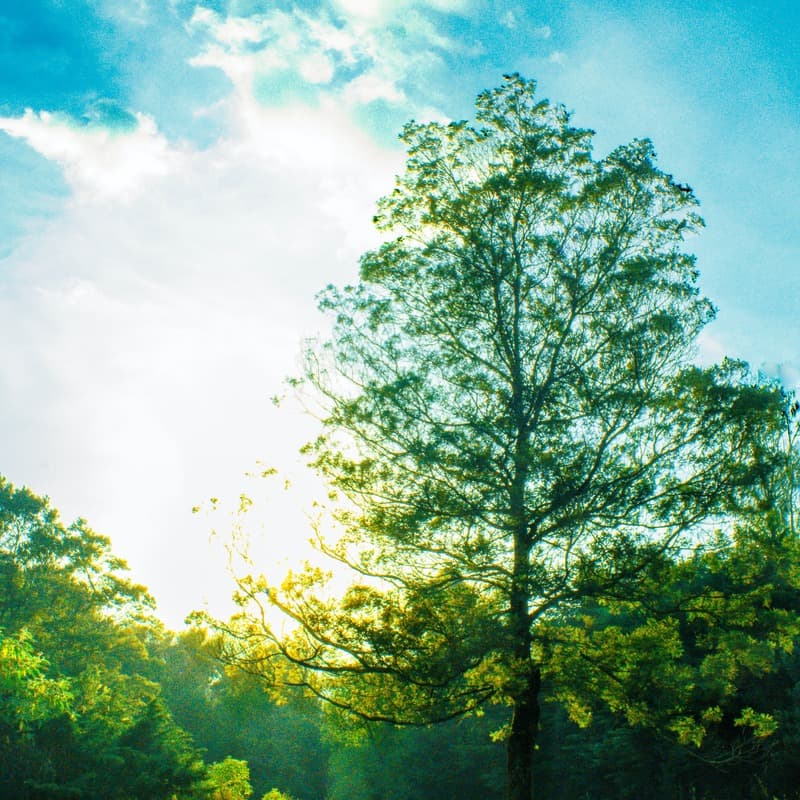 My Burdens Rolled Away (arr. J. Randolph Hall)