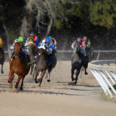 Camptown Races (arr. B. Scott Christmas)
