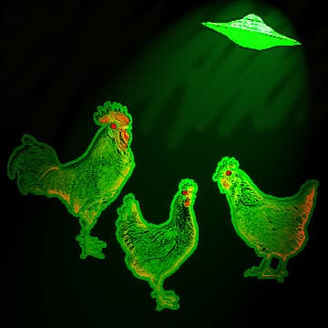 Toxic Chickens for flute and piano