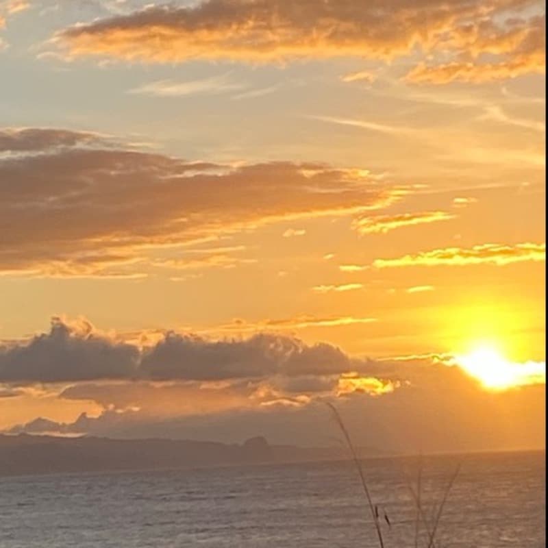 Not Half Has Ever Been Told (arr. J. Randolph Hall)