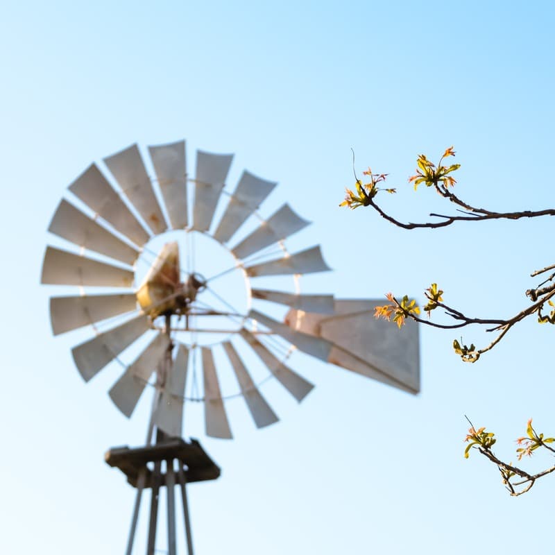 Blowin' In The Wind (arr. Dominic Meccia)