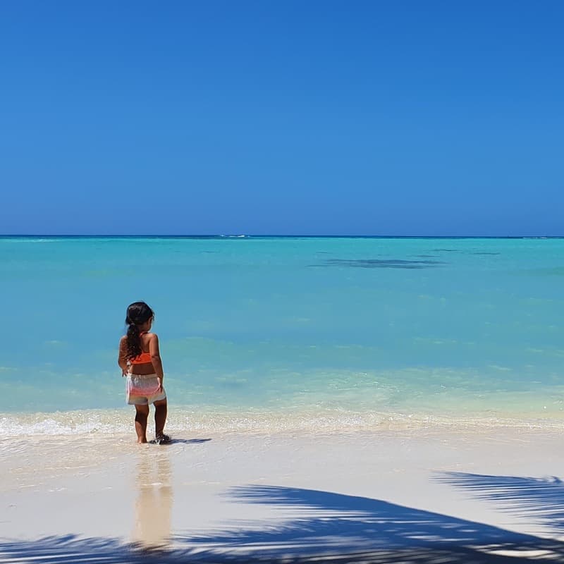 How Far I'll Go (arr. Noriko W. D.)