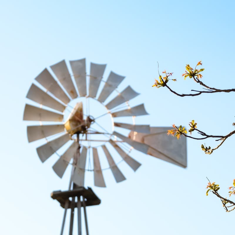 Blowin' In The Wind (arr. Dominic Meccia)
