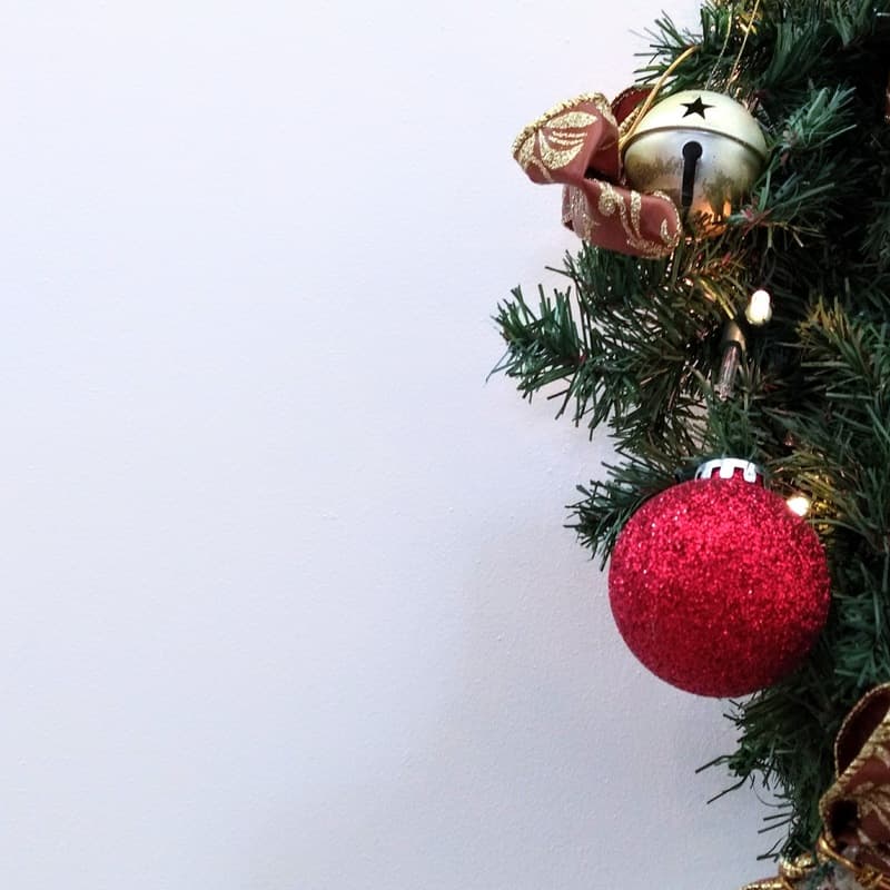 Sleigh Bells Ride